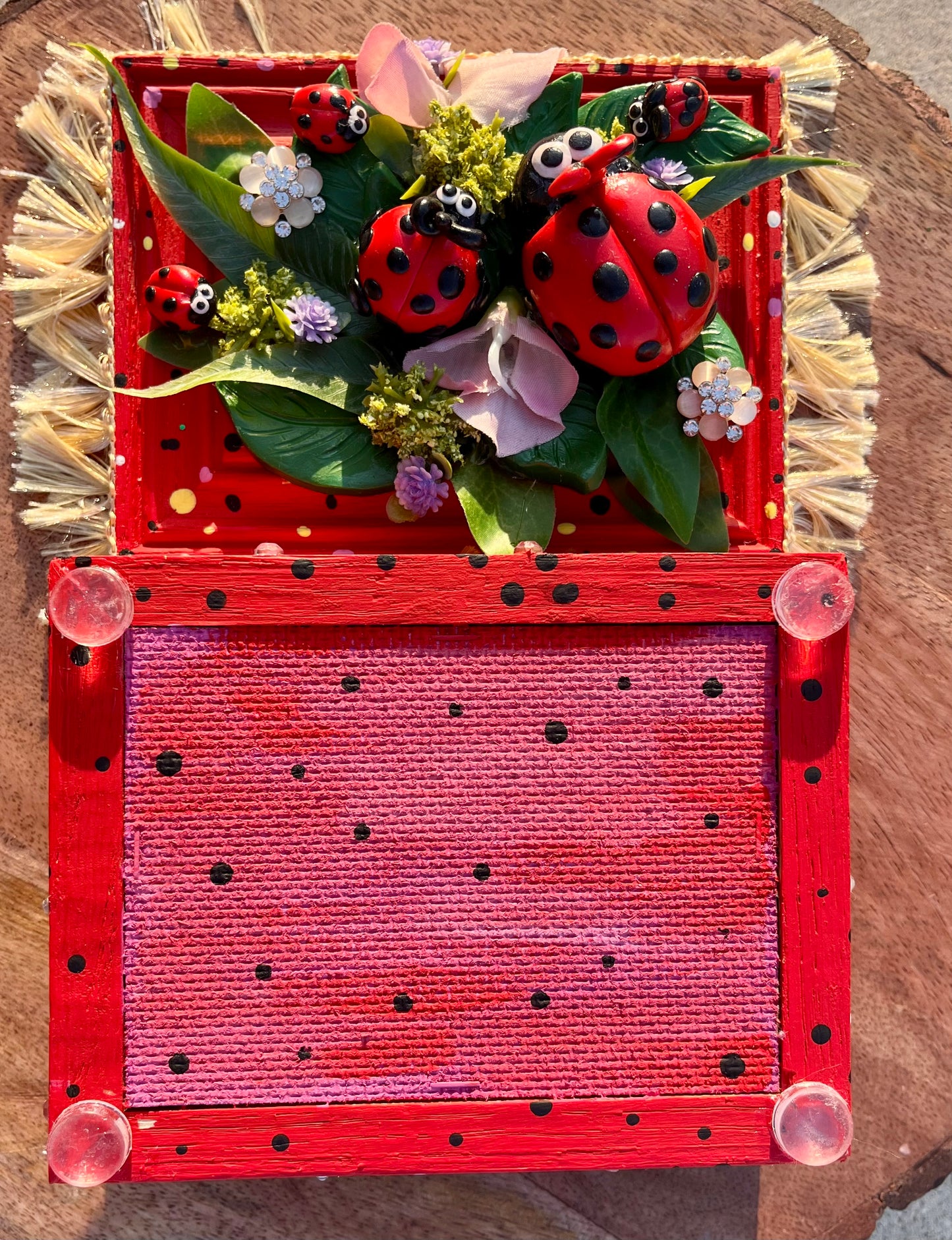 Ladybug Luxe